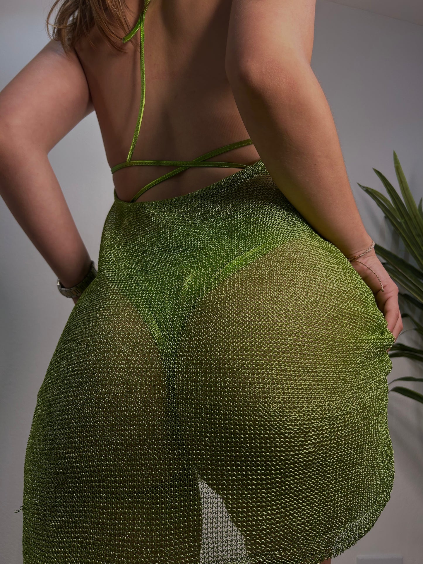 Evergreen cover-up