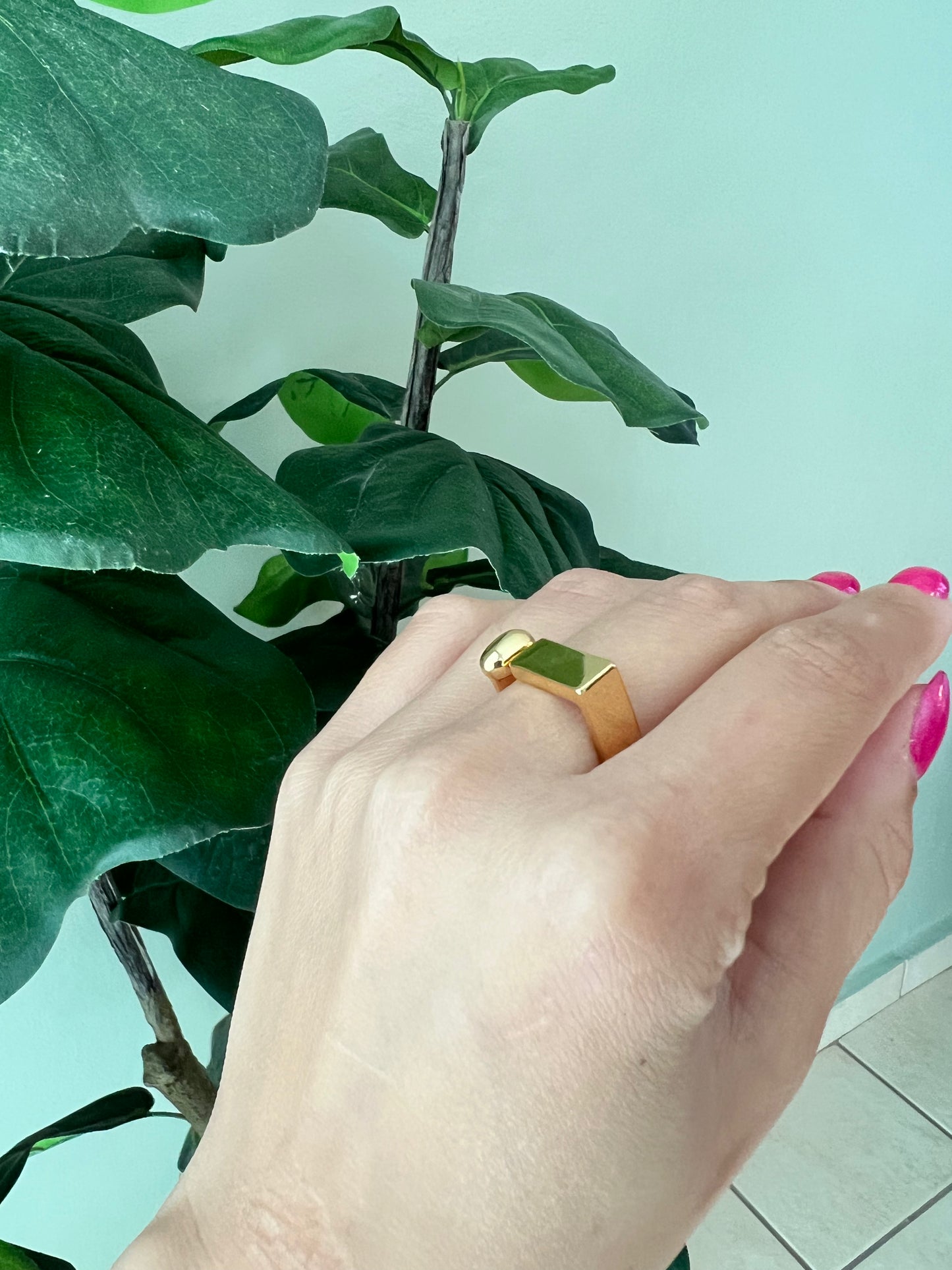 Geometric Ring