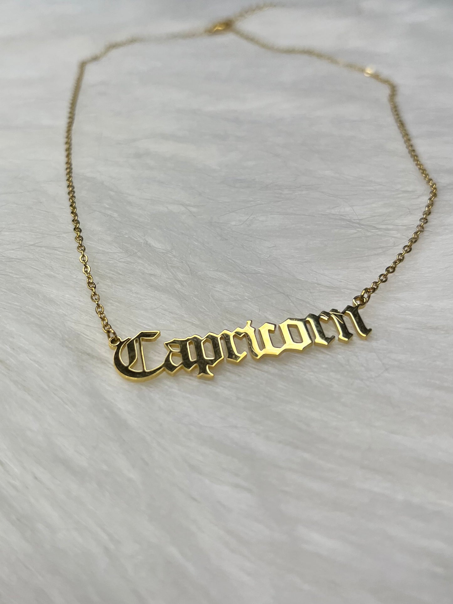Capricorn Necklace