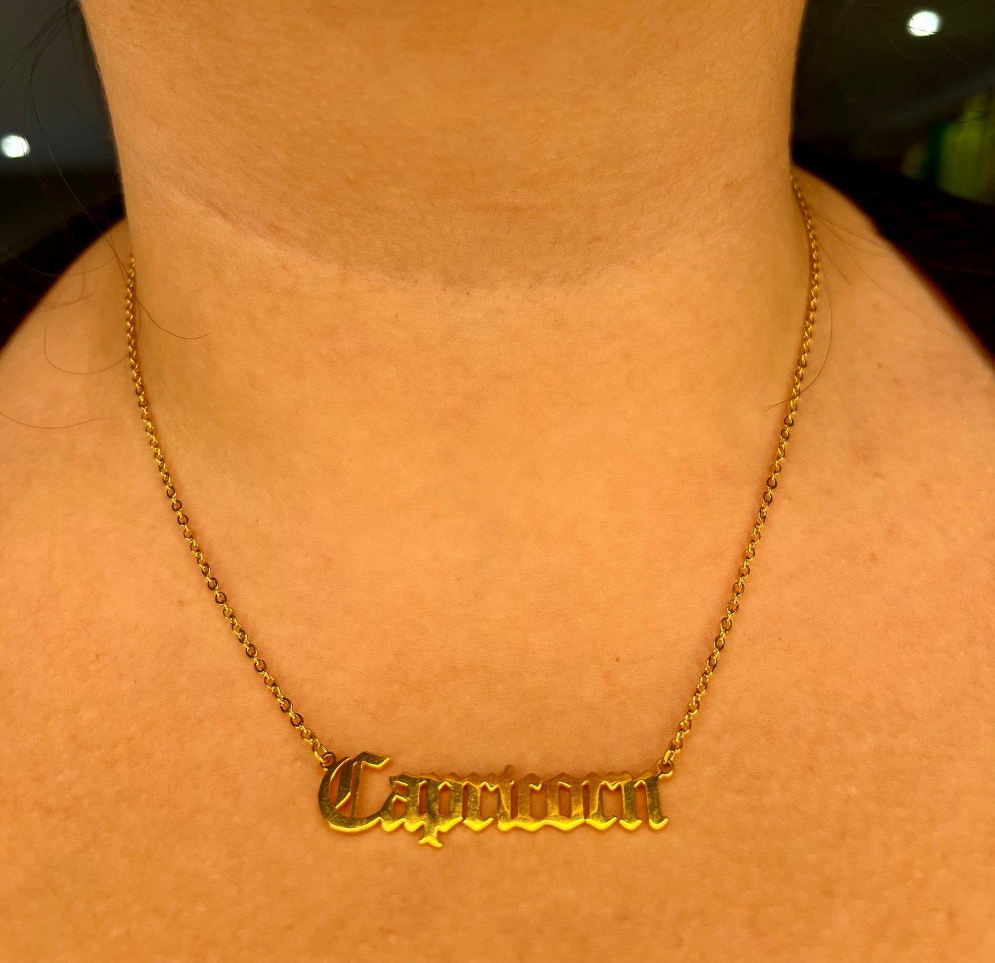 Capricorn Necklace